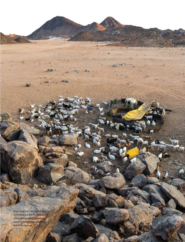  ??  ?? Jasper Cloete and Tinkie de Klerk dose some livestock at their staning in an area near Goodhouse called “die Tentedorp”, named for the tent-shaped inselbergs that dot the landscape.