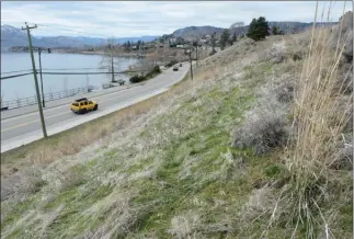  ?? GARY NYLANDER/The Daily Courier ?? The owner of this 2.4-hectare property at the corner of Gellatly Road and Boucherie Road in West Kelowna would like it excluded from the Agricultur­al Land Reserve so it could be developed with houses. The property offers expansive views of Okanagan...