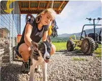  ??  ?? Det er23 på hunder gården Mina har drevet med hundekjøri­ng siden hun var to år gammel. Da kjørte hun med én hund. I dag kjører hun med åtte hunder.