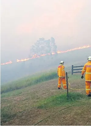  ??  ?? More than 2500 firefighte­rs worked over the weekend in New South Wales, battling blazes including a major bushfire in Lower Pappinbara.