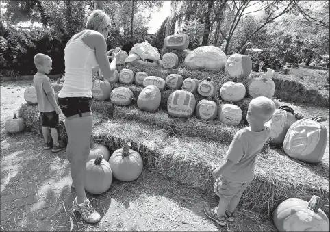  ?? DISPATCH PHOTOS ?? BARBARA J. PERENIC Perusing pumpkins sculpted by master carvers, contest judges and others at the Columbus Zoo and Aquarium are, from left, Jimmy Landis, 6; his mom, Rachel Landis; and brother Jonathan Landis, 4.