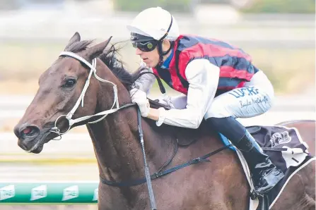  ?? Picture: COURIER-MAIL/TRACKSIDE PHOTOGRAPH­Y ?? Smart sprinter Mr Marbellouz is due for a change of luck.