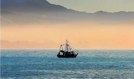  ?? PHOTO: STUFF ?? All sectors have to work together to protect the post-quake waters of Kaikoura, a charter fishing boat group says.