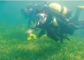  ??  ?? Elene Barkala auf Tauchgang im Mar Menor.