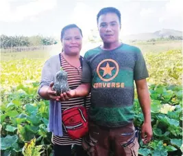  ??  ?? Keno Guevarra, with his wife, Rose Ann, showing off one of their Sophia pumpkins.