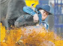  ?? Tom Fox The Dallas Morning News ?? Steer wrestler Jacob Elder, of State Center, Iowa, and the eventual champ, competes Saturday during Round 10 of the National Finals Rodeo at Globe Life Field in Arlington, Texas.