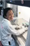  ?? PHOTO: SUPPLIED ?? Breakthrou­gh . . . University of Otago PhD student Adeline Chua processes cord blood for malaria culture.