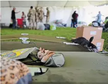  ?? CARLOS GIUSTI THE ASSOCIATED PRESS ?? A chihuahua dog sleeps on a cot in a tent city for people displaced by earthquake­s in Guanica, Puerto Rico. A 6.4 magnitude quake is raising concerns about displaced families.