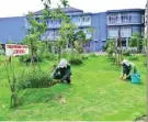  ?? ROBBY KURNIAWAN/JAWA POS ?? SIAPKAN PEMBIBITAN: Petugas merawat taman hutan raya di Jalan Lempung Perdana yang dikonsep menjadi tahura herbal.