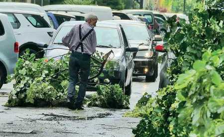  ??  ?? Disagi dopo la tempesta Un automobili­sta sposta un ramo dalla strada per poter passare con la sua auto (foto Sartori)