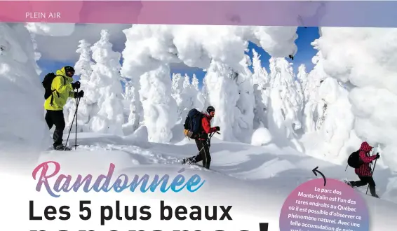  ??  ?? Le parc des Monts-Valin rares est l’un des endroits au Québec où il est possible phénomène d'observer ce naturel. Avec telle une accumulati­on de neige sur la cime des sapins, étonnant pas qu'on l'endroit surnomme la Vallée des fantômes!