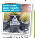  ??  ?? My mini Buddha garden with pots of nandina and carex