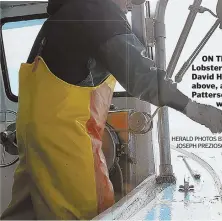  ?? HERALD PHOTOS BY JOSEPH PREZIOSO ?? ON THE JOB: Lobstermen David Haley, above, and Tucker Patterson hard at
work.