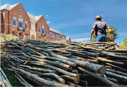  ?? RACHAEL PACELLA/CAPITAL GAZETTE PHOTOS ?? Piles of sticks that Patrick Dougherty will use to create a sweeping sculpture lie outside Maryland Hall in Annapolis. He will be working through May 21.