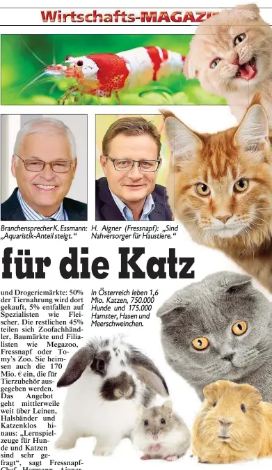  ??  ?? In Österreich leben 1,6 Mio. Katzen, 750.000 Hunde und 175.000 Hamster, Hasen und Meerschwei­nchen.