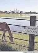  ?? ALBERTO DOMÍNGUEZ ?? Parque Nacional de Doñana.