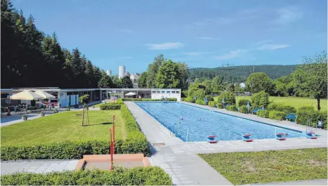  ?? FOTO: ELISABETH SOMMER ?? Freiwillig­e Helfer übernehmen Jahr für Jahr viele Arbeiten im Schelkling­er Freibad, um die Badesaison zum Erfolg zu machen.