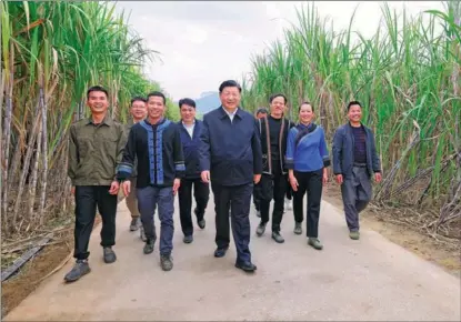  ?? WANG YE / XINHUA ?? Xi Jinping (center), general secretary of the Communist Party of China Central Committee, is joined by locals as he inspects a sugarcane base in Laibin, Guangxi Zhuang autonomous region, on Dec 14.