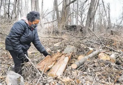  ?? TAYLOR/BALATIMORE SUN PHOTOS BARBARA HADDOCK ?? Yorell Tuck grew up in the Stillmeado­w Community Fellowship church in Southwest Baltimore. Now she’s leading the church’s collaborat­ion with other groups to reclaim the dying patch of urban forest on 10 acres next to the church and turn it into an urban oasis.