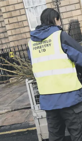  ??  ?? 0 Christmas trees are delivered to the First Minister’s official residence at Bute