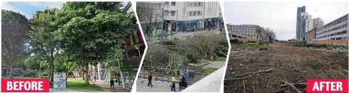  ?? ?? BEFORE
AFTER
Leafy: Trees on Armada Way in Plymouth city centre — and the destructio­n in the aftermath of the felling last week