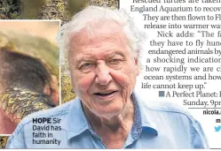  ??  ?? HOPE Sir David has faith in humanity