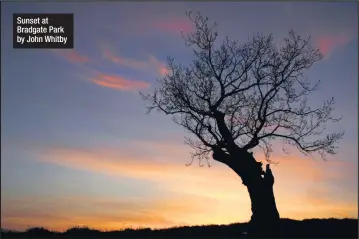  ??  ?? Sunset at Bradgate Park by John Whitby