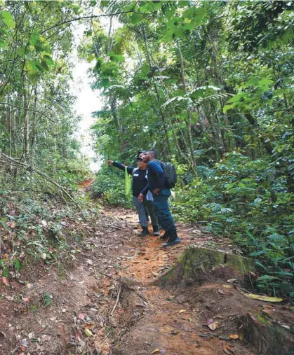  ?? / Fotos: Jose Vargas - El Espectador ?? El camino con presencia de minas antiperson­al comunica a dos veredas y a la escuela rural.