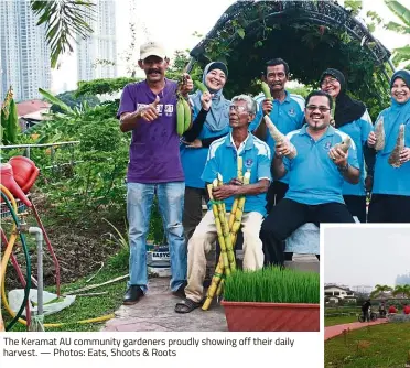  ??  ?? The Keramat AU community gardeners proudly showing off their daily harvest. — Photos: Eats, Shoots & Roots