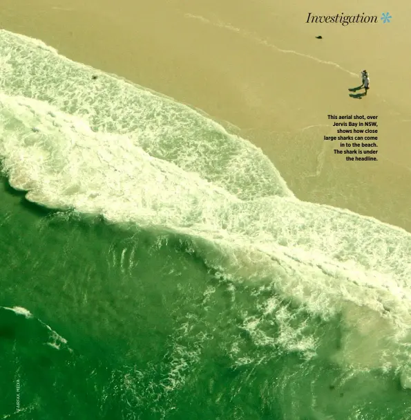  ??  ?? This aerial shot, over Jervis Bay in NSW, shows how close large sharks can come in to the beach. The shark is under the headline.