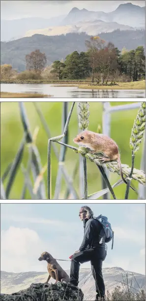  ??  ?? Awards were presented to members of a Leeds-based camera club during its annual dinner. A selection of images captured by members of Aireboroug­h Camera Club were praised by Yorkshire Photograph­ic Union judges, including photograph­s, above, by Scott...