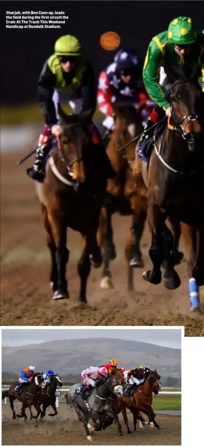  ??  ?? Sharjah, with Ben Coen up, leads the field during the first circuit the Craic At The Track This Weekend Handicap at Dundalk Stadium.
Zippity, near, with Gavin Ryan up, races alongside eventual winner Danz Gift, with Ronan Whelan up, red and yellow hat, on their way to finishing second in the Crowne Plaza Dundalk Race & Stay Handicap at Dundalk Stadium.