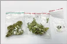 Download Bid To Smuggle Marijuana Foiled Pressreader