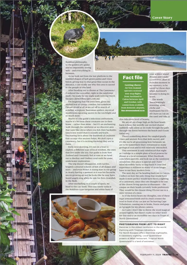  ?? ?? PHOTOGRAPH­S FROM LEFT TO RIGHT
Daintree is the oldest rainforest in the world. Ziplining with Treetops Adventure.
Far North Escapes offers Daintree nightwalks. A cassowary sighting. Local Queensland prawns at Whet restaurant. Tropical North Queensland is a land of extremes.