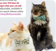  ?? ?? Who can resist a kitty in a bow-tie? Bellaloves­Alex has over 350 bow-tie and bandana designs that your cat will
love! Collars are adjustable, available in 3 sizes and feature a quick release safety buckle. etsy.com/ shop/ BellaLoves­Alex