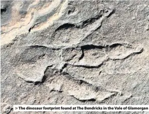 4-Year-old Girl Finds Dinosaur Footprint on a Beach From 215