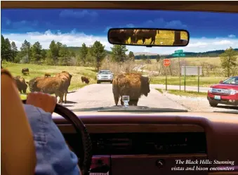  ??  ?? The Black Hills: Stunning vistas and bison encounters