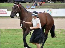  ??  ?? Kate Irwin with Captain The World competing at the Heritage Bank Toowoomba Royal show.