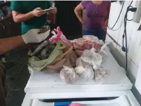  ?? CORTESÍA MINAE ?? Las autoridade­s encontraro­n carne de tepezcuint­le y mariscos en un operativo cerca de la frontera con Nicaragua.