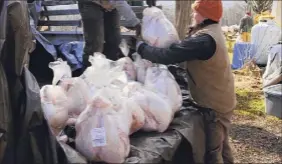  ?? Paul Buckowski / Times Union ?? Jackie Spencer, farm hand at Heather Ridge Farm, grabs a turkey from farm manager Amanda Hughes as they are unloaded in Preston Hollow.