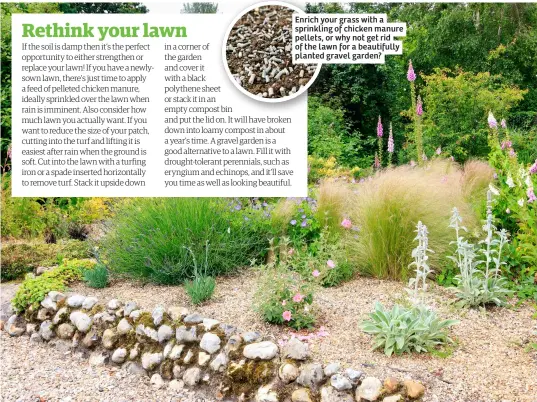  ?? ?? Enrich your grass with a sprinkling of chicken manure pellets, or why not get rid of the lawn for a beautifull­y planted gravel garden?