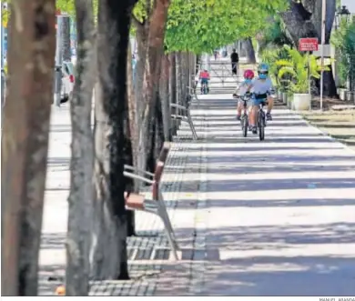  ?? MANUEL ARANDA ?? Niños en bici, por el carril bici de la avenida.