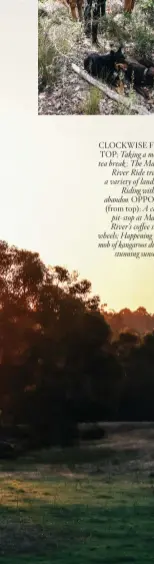  ??  ?? CLOCKWISE FROM TOP: Taking a morning tea break ; The Margaret River Ride traverses a variety of landscapes; Riding with joyful abandon. OPPOSITE (from top): A caffeine pit-stop at Margaret River’s coffee shop on wheels; Happening upon a mob of kangaroos during a stunning sunset ride.