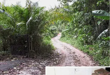  ??  ?? Deplorable conditions: Only four-wheel drive vehicles can get to the estate due to the poor road conditions. (below) The deplorable shelter that housed 18 people at the palm oil estate in
Kg Tasek.