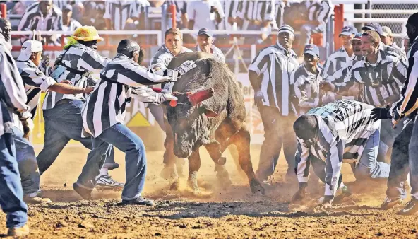  ?? FOTO: GETTY IMAGE ?? Häftlinge der Angola-Haftanstal­t in Louisiana versuchen beim Rodeo, einen zwischen den Hörnern des Bullen befestigte­n roten Poker-Chip zu erhaschen.