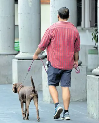  ?? EDUARDO MURILLO ?? Establecer hábitos ayuda a la salud mental, indican/