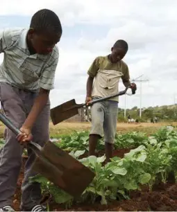  ?? (Image: North West Premier's Office) ?? Skills to improve food security.