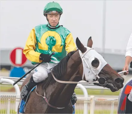  ??  ?? Draw a barrier: Secret Garden with Michael Nolan on board is looking to grind out an Ipswich Cup win tomorrow.