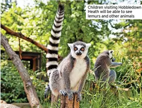  ?? ?? Children visiting Hobbledown Heath will be able to see lemurs and other animals