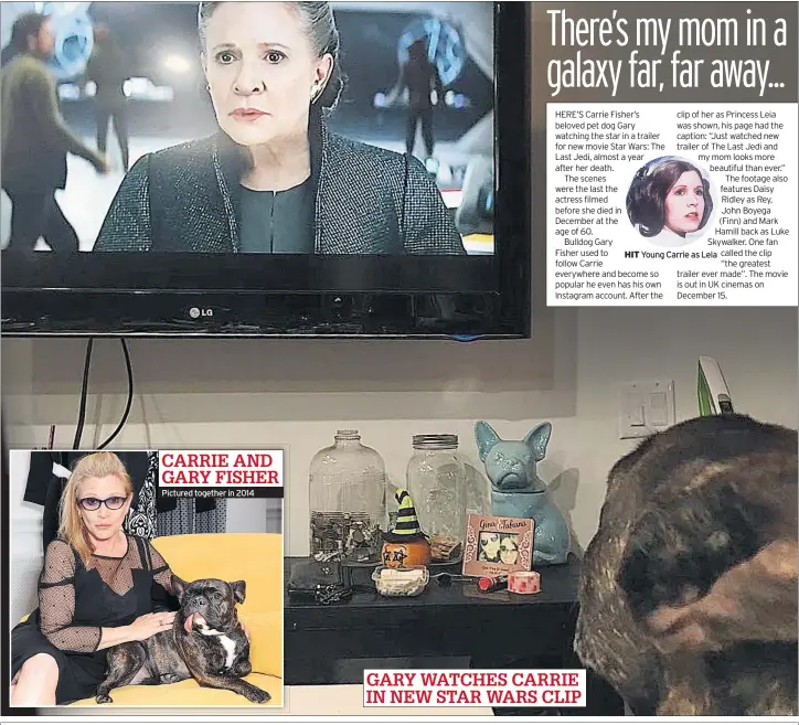  ??  ?? Pictured together in 2014 GARY WATCHES CARRIE IN NEW STAR WARS CLIP CARRIE AND GARY FISHER